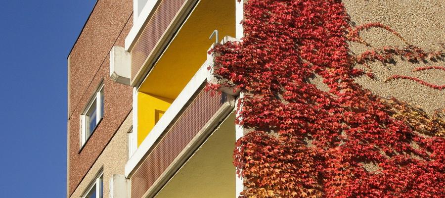  Ki mit vesz? Lakáspiaci trendek a vevők és eladók szemszögéből  